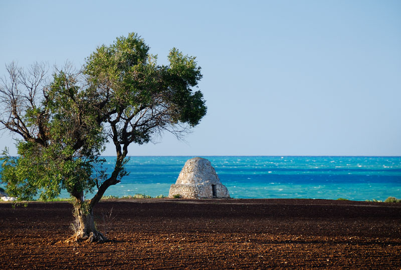 Puglia paesaggio
